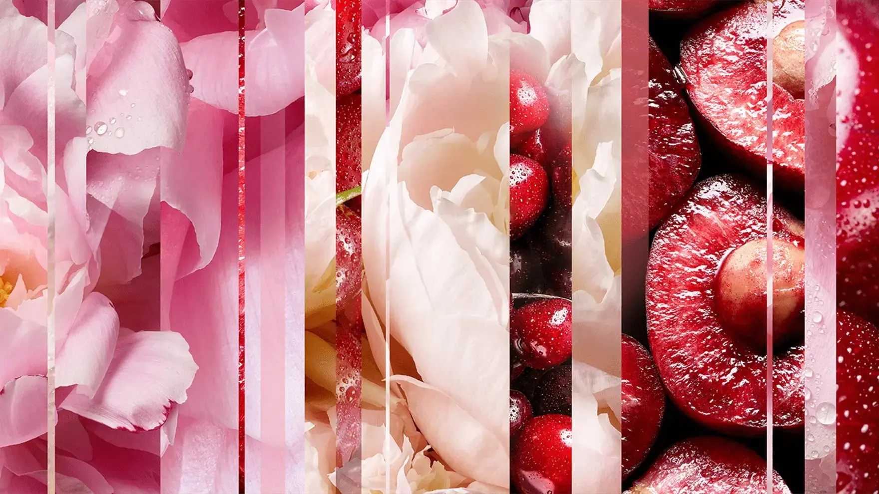 Luscious Cherry & Peony