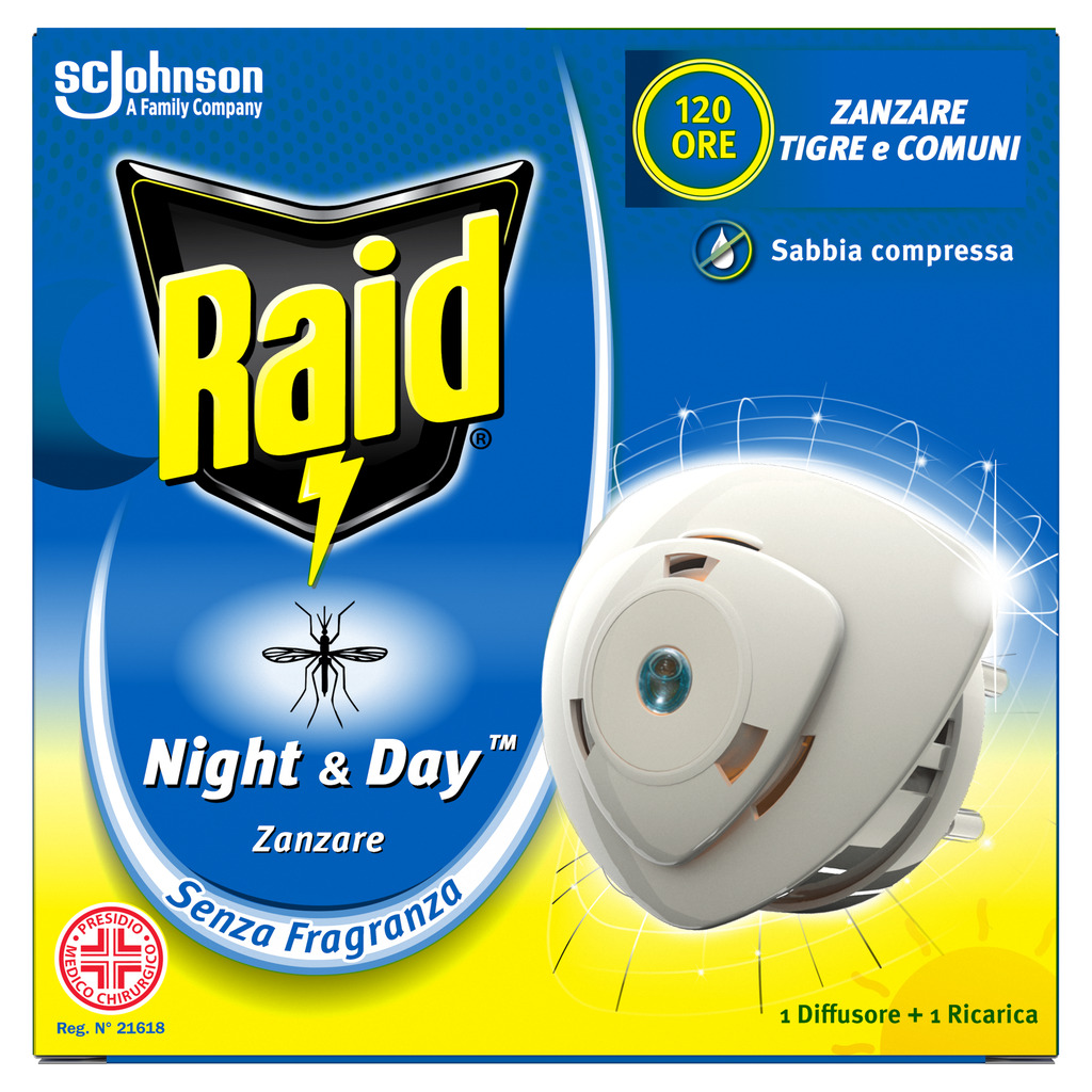 Raid Night Day Base