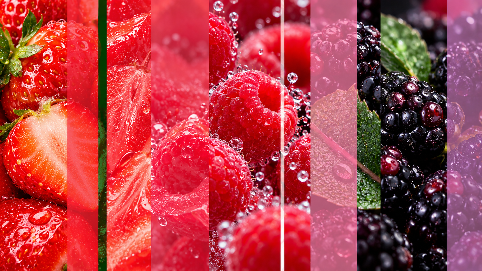 BUBBLY BERRY SPLASH