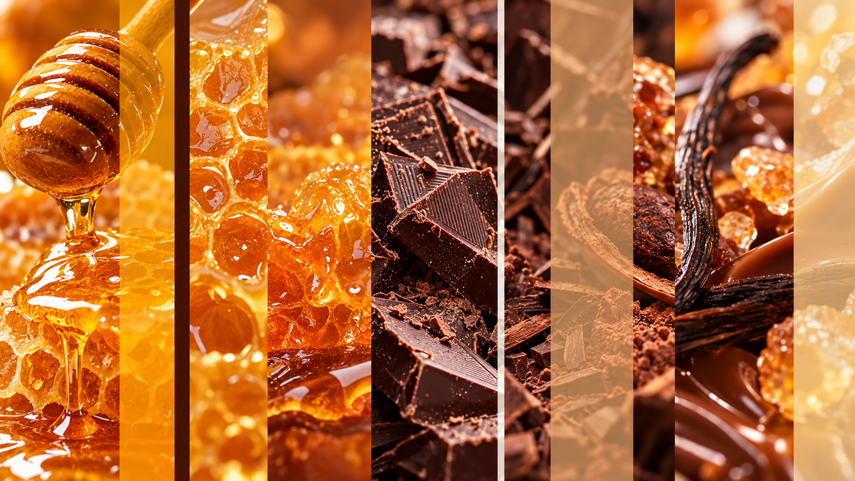 Honey & Chocolate